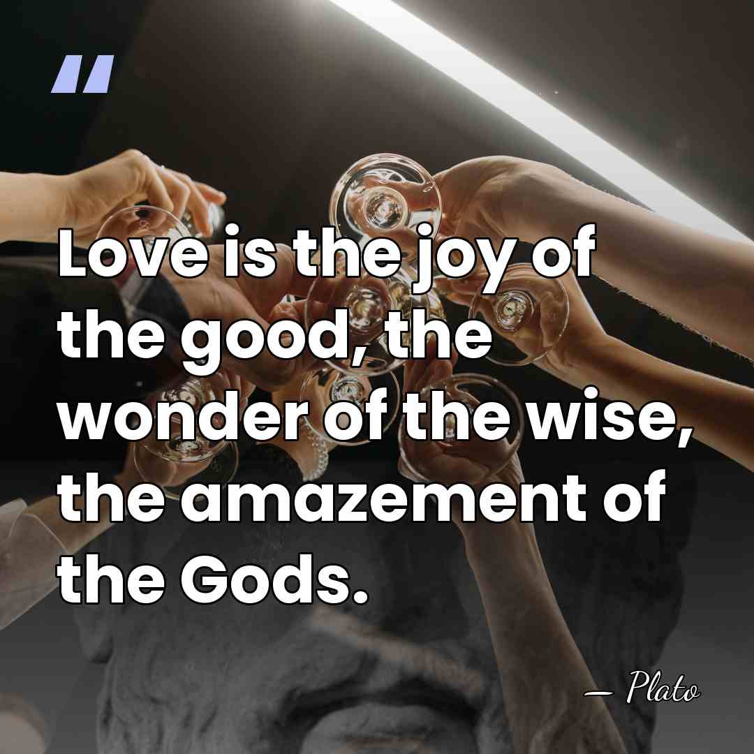 Love is the joy of the good, the wonder of the wise,&hellip; - Plato