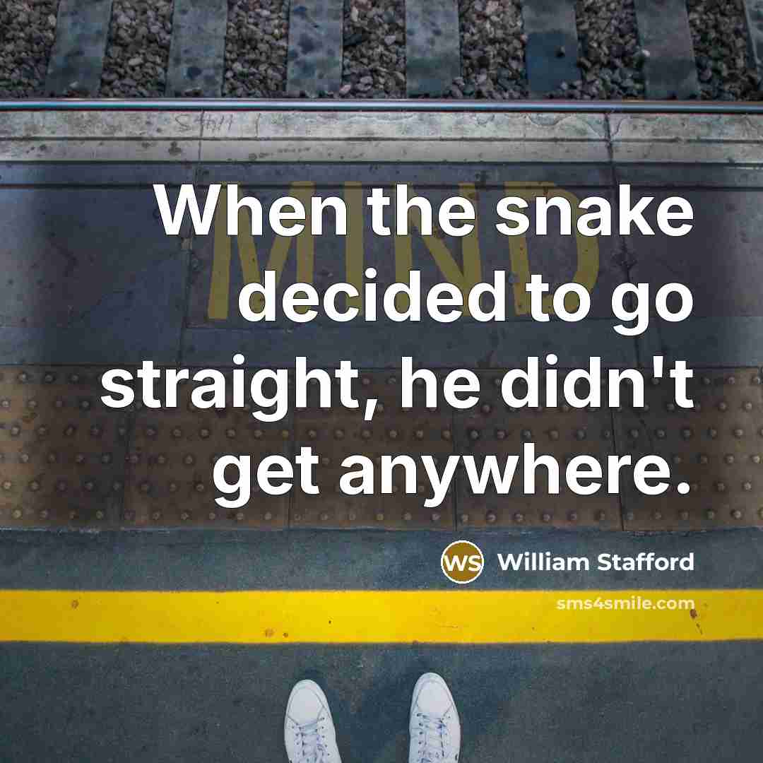 “When the snake decided to go straight, he didn't get…” quote by William Stafford