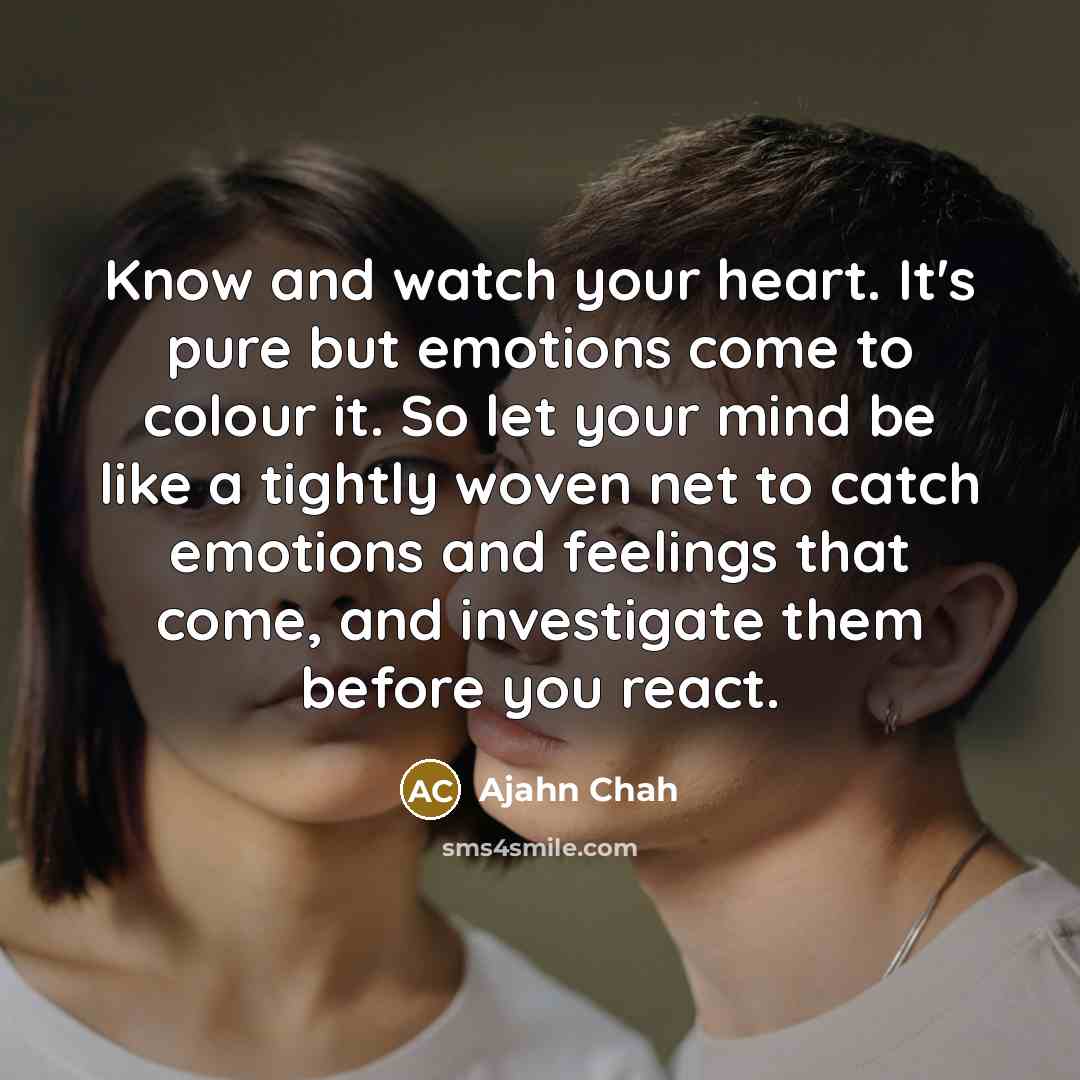“Know and watch your heart. It's pure but emotions come…” quote by Ajahn Chah