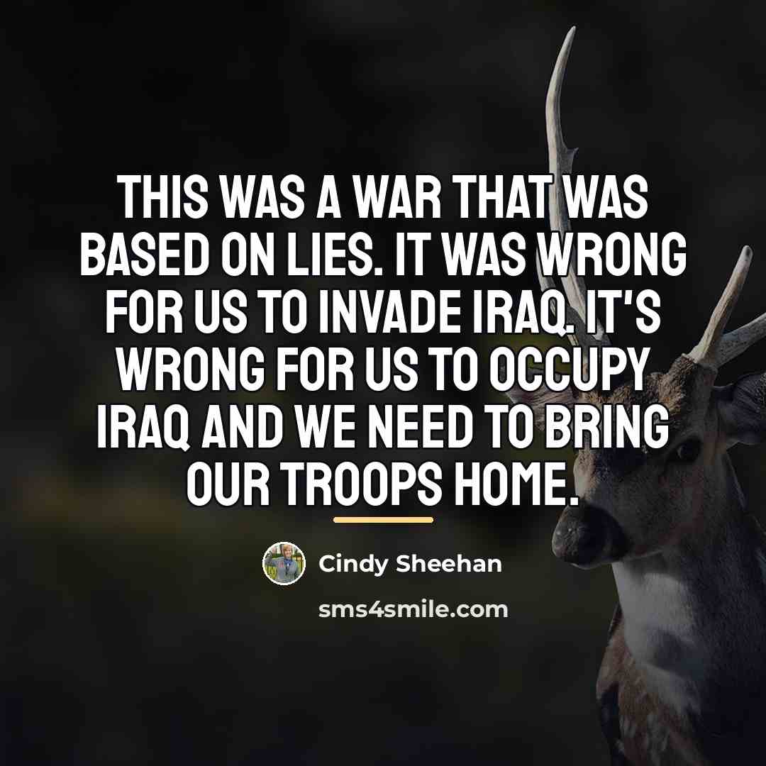 “This was a war that was based on lies. It…” quote by Cindy Sheehan