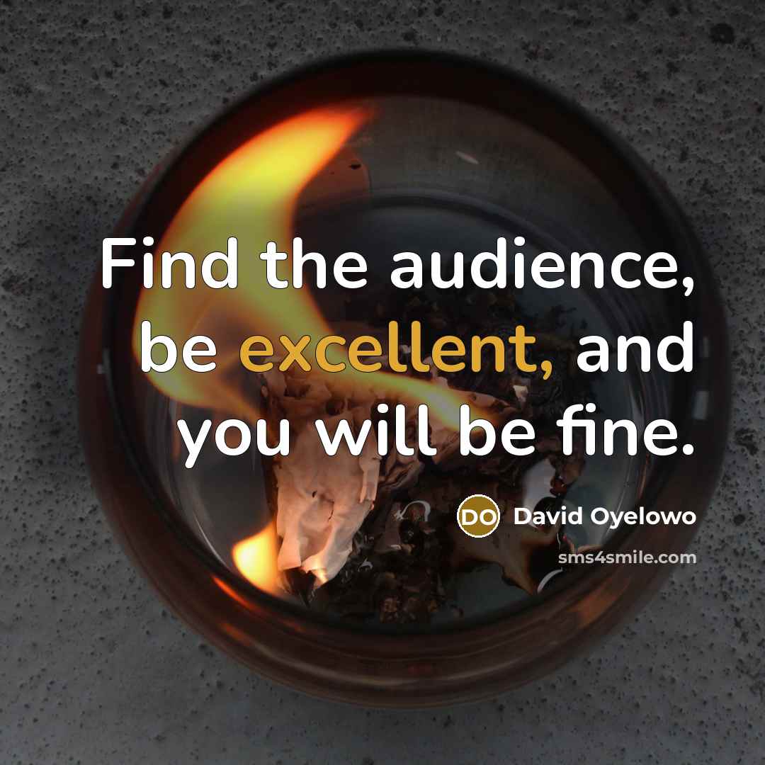 “Find the audience, be excellent, and you will be fine.…” quote by David Oyelowo