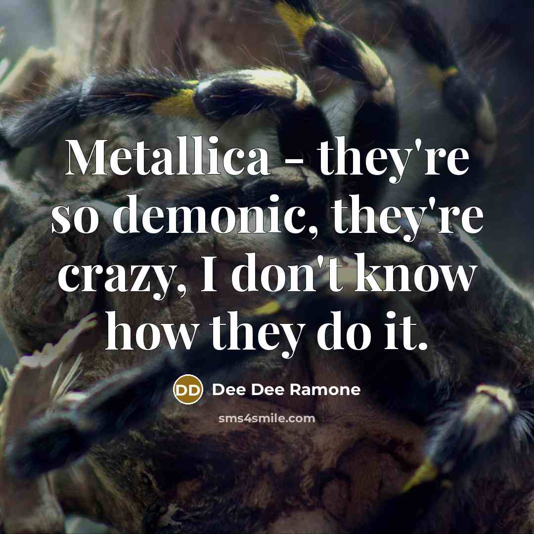 “Metallica - they're so demonic, they're crazy, I don't know…” quote by Dee Dee Ramone