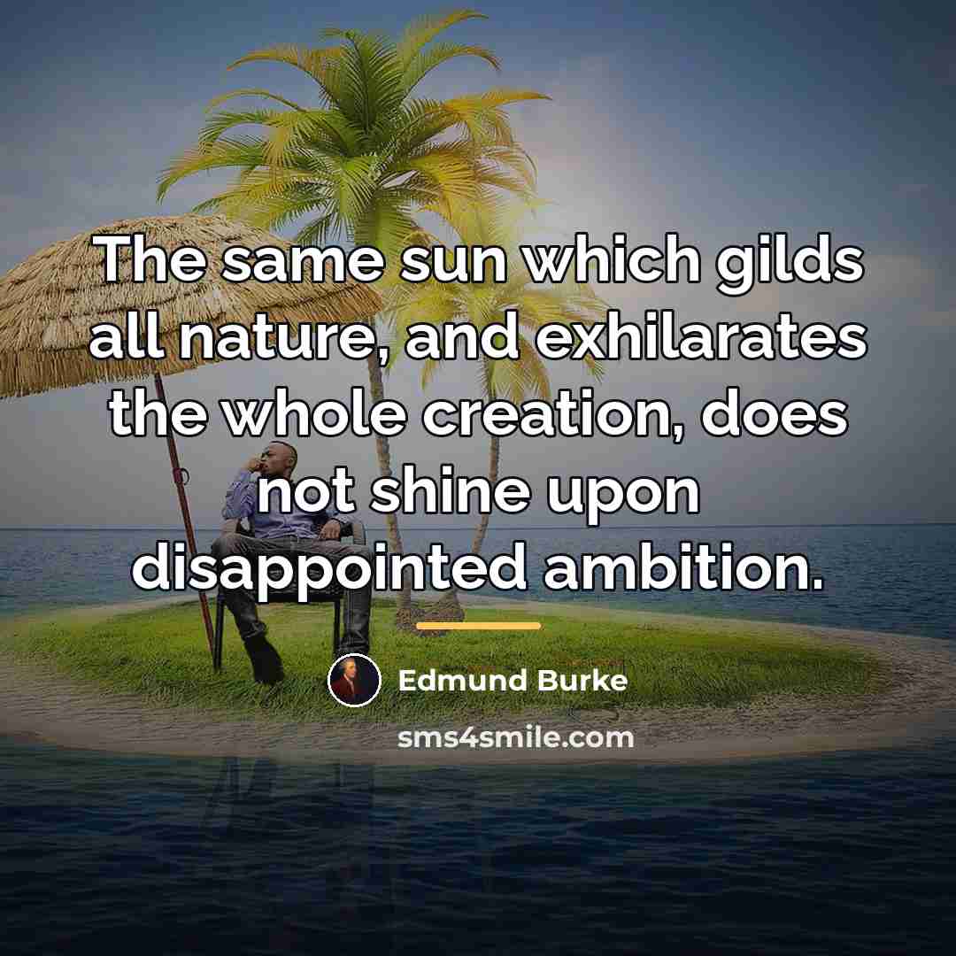 “The same sun which gilds all nature, and exhilarates the…” quote by Edmund Burke