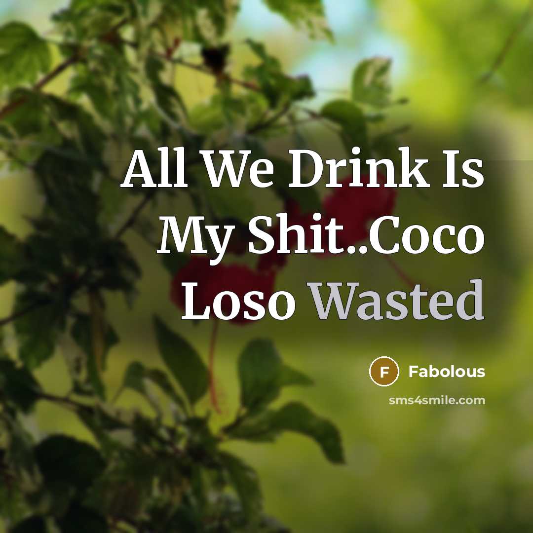 “All We Drink Is My Shit..Coco Loso Wasted” quote by Fabolous