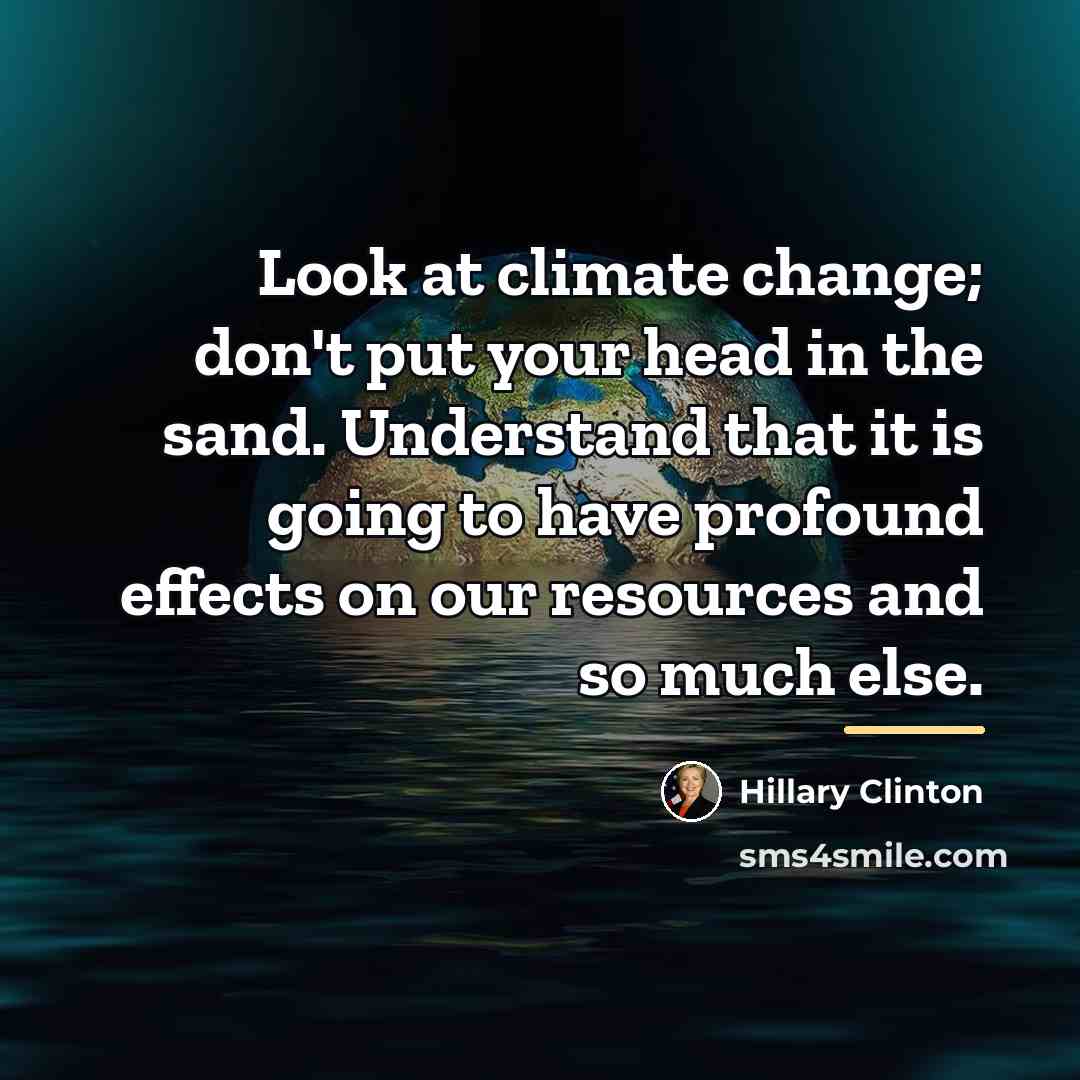 “Look at climate change; don't put your head in the…” quote by Hillary Clinton