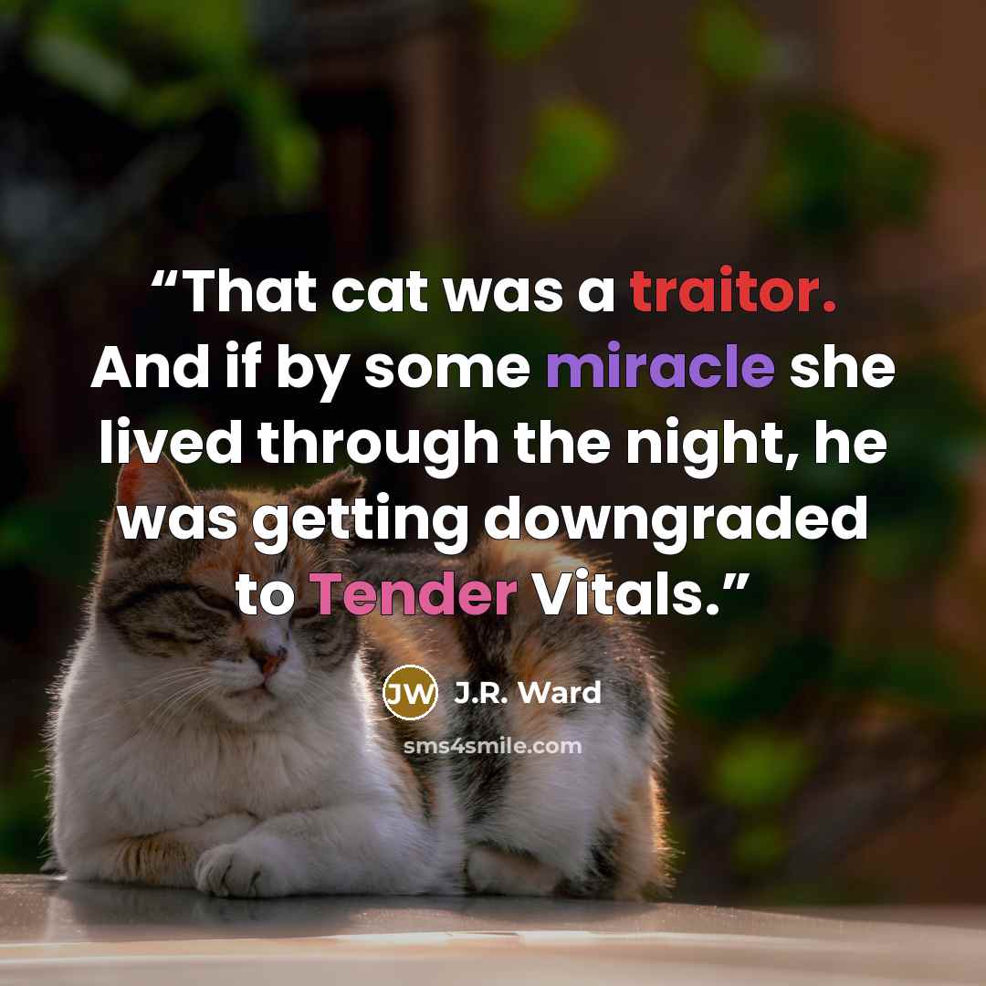 “That cat was a traitor. And if by some miracle she lived through the night, he was getting downgraded to Tender Vitals.” quote by J.R. Ward