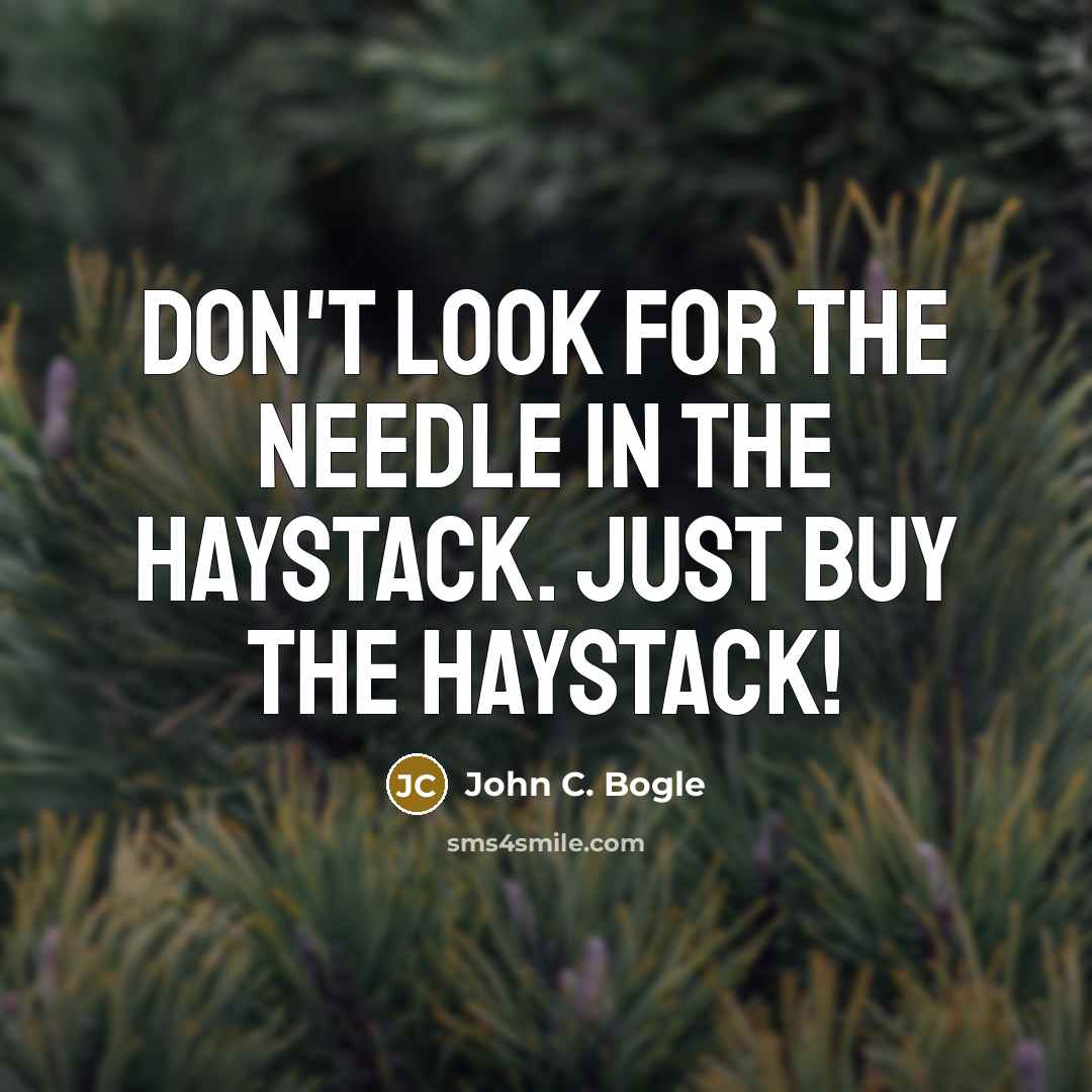 “Don't look for the needle in the haystack. Just buy…” quote by John C. Bogle