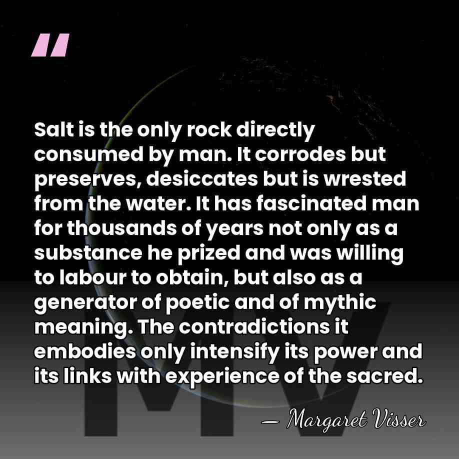 Salt is the only rock directly consumed by man. It corrodes but&hellip; - Margaret Visser