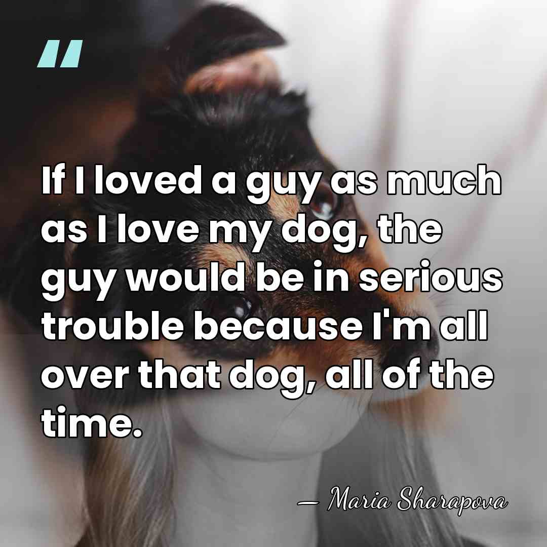 If I loved a guy as much as I love my dog,&hellip; - Maria Sharapova