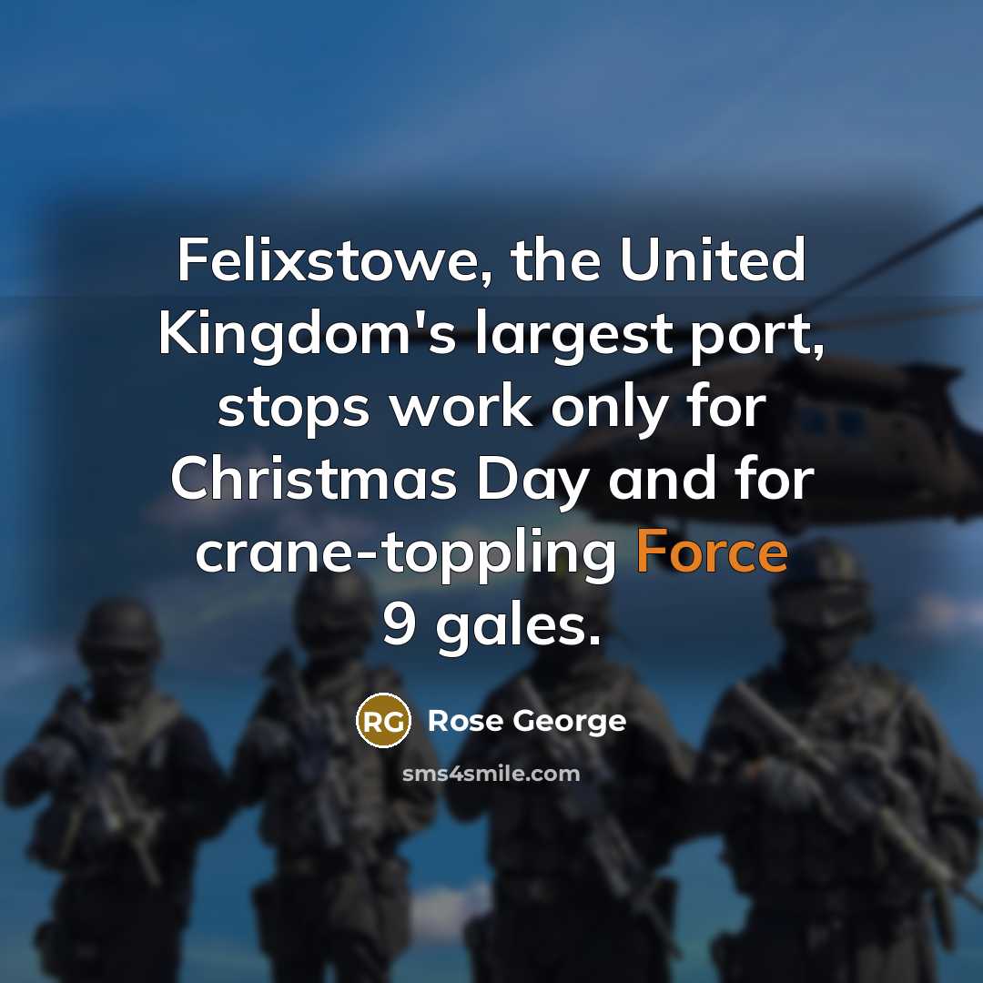“Felixstowe, the United Kingdom's largest port, stops work only for…” quote by Rose George