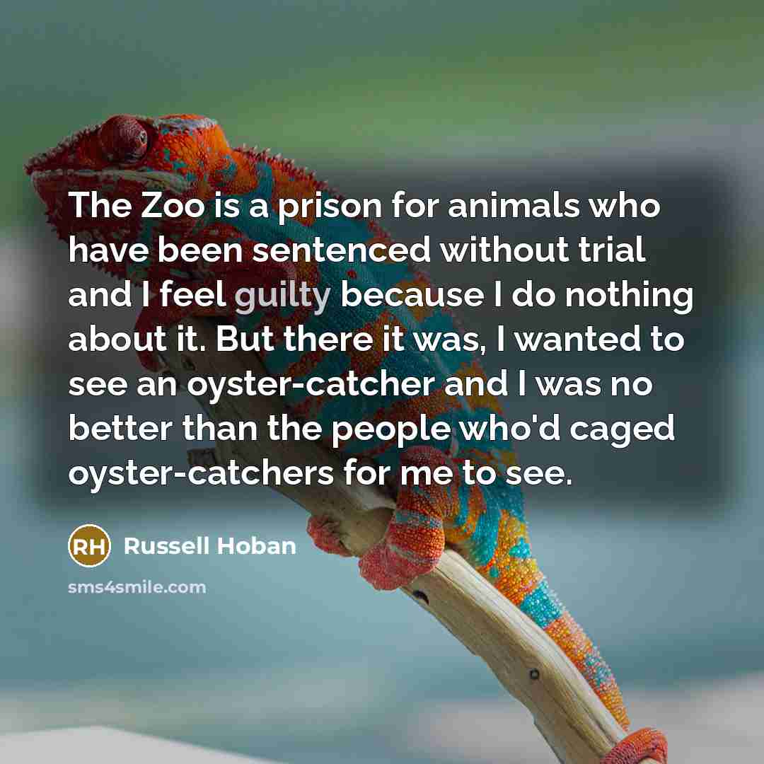 “The Zoo is a prison for animals who have been…” quote by Russell Hoban