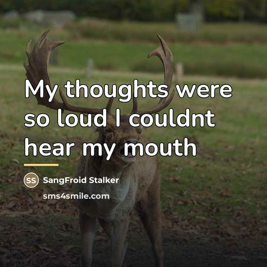 “My thoughts were so loud I couldnt hear my mouth…” quote by SangFroid Stalker