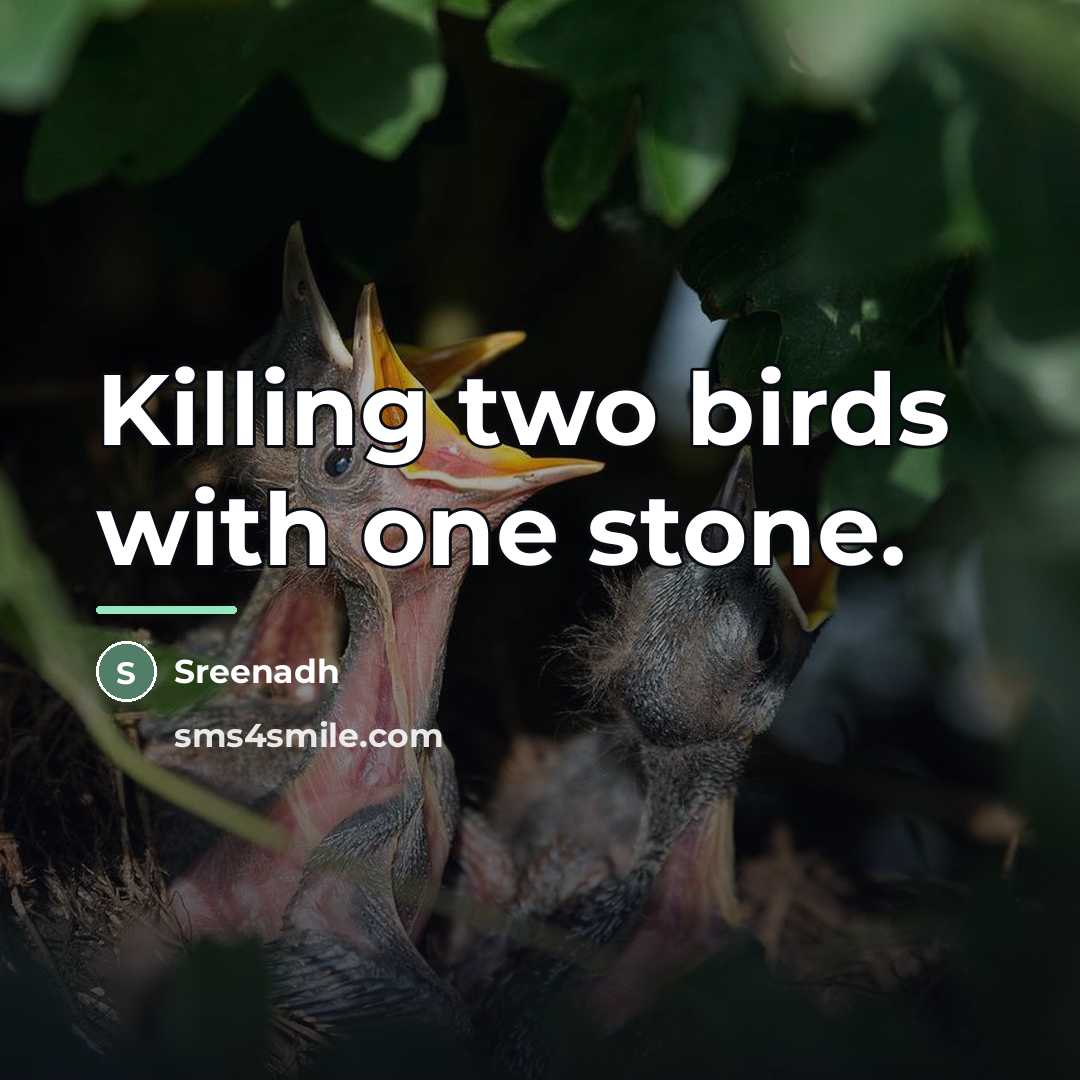 “Killing two birds with one stone.…” quote by Sreenadh