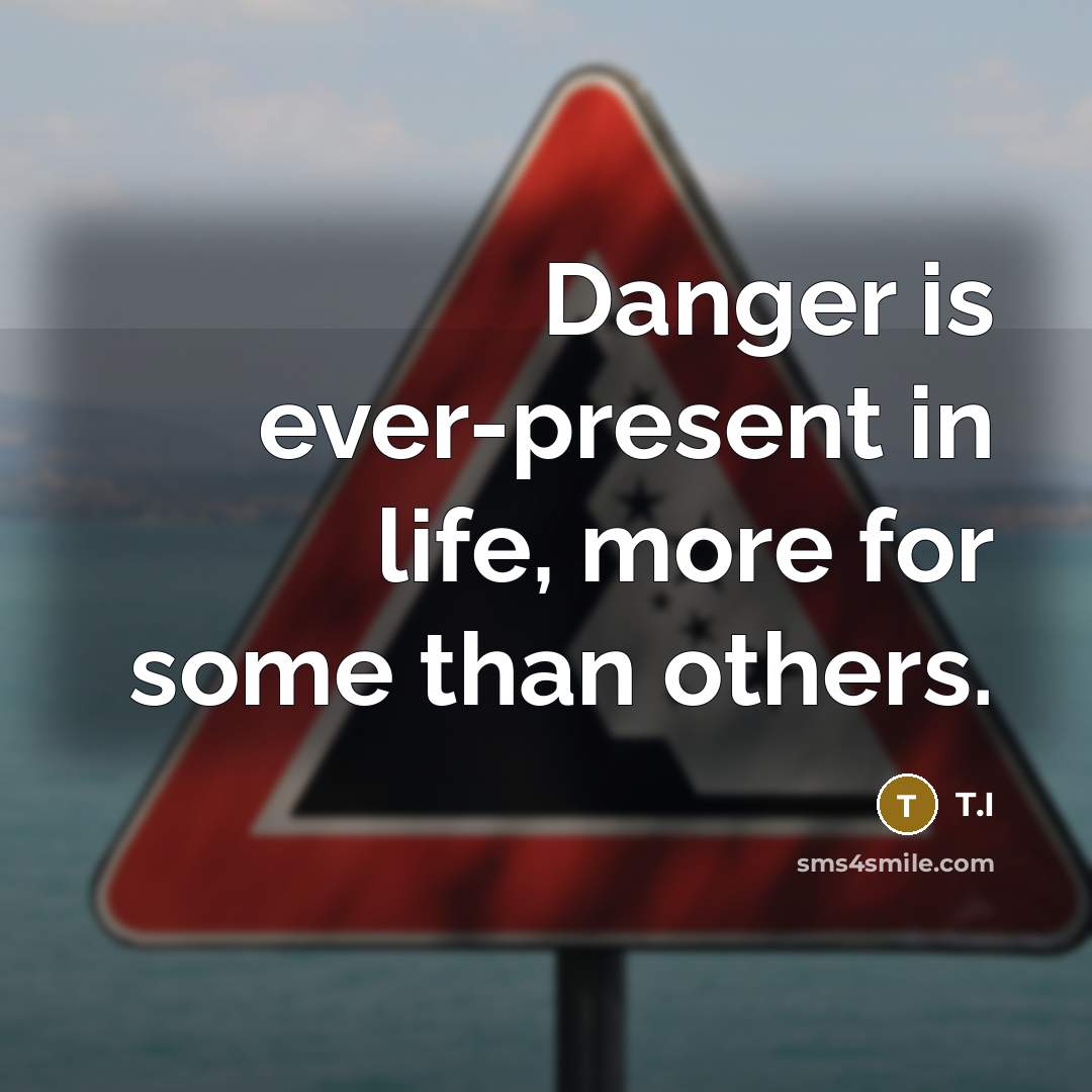 “Danger is ever-present in life, more for some than others.…” quote by T.I