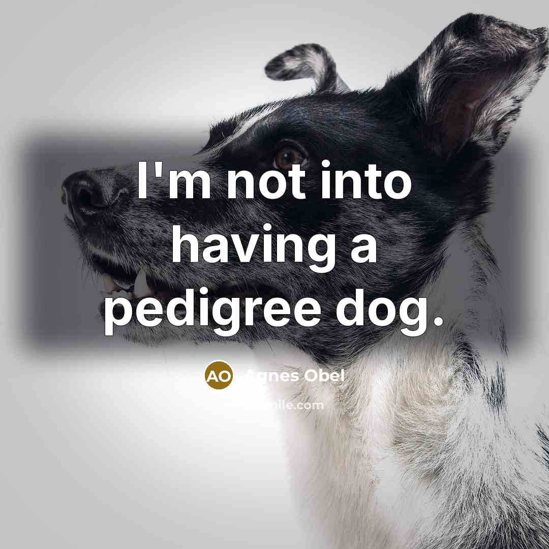 “I'm not into having a pedigree dog.…” quote by Agnes Obel