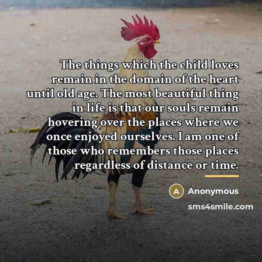 “The things which the child loves remain in the domain…” quote by Anonymous