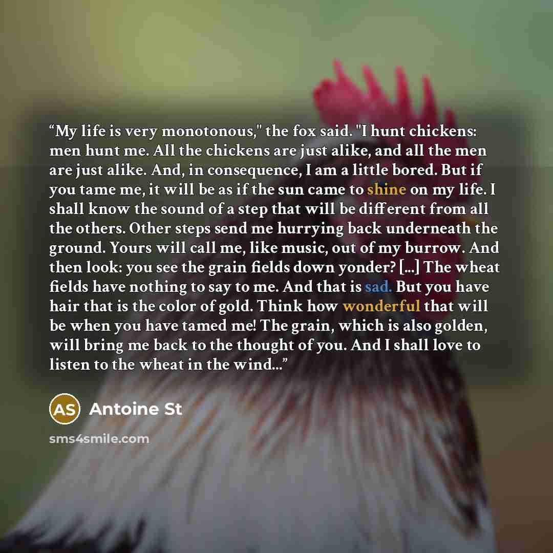 “My life is very monotonous," the fox said. "I hunt chickens: men hunt me. All the chickens are just alike, and all the men are just alike. And, in consequence, I am a little bored. But if you tame me, it will be as if the sun came to shine on my life. I shall know the sound of a step that will be…” quote by Antoine St