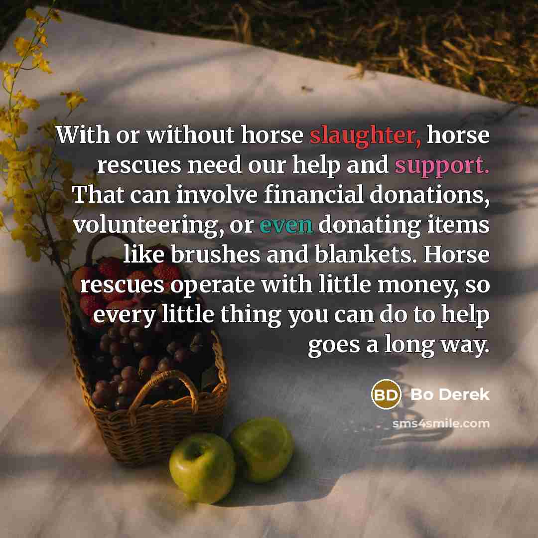 “With or without horse slaughter, horse rescues need our help…” quote by Bo Derek