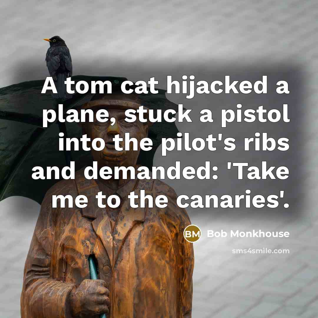 “A tom cat hijacked a plane, stuck a pistol into…” quote by Bob Monkhouse