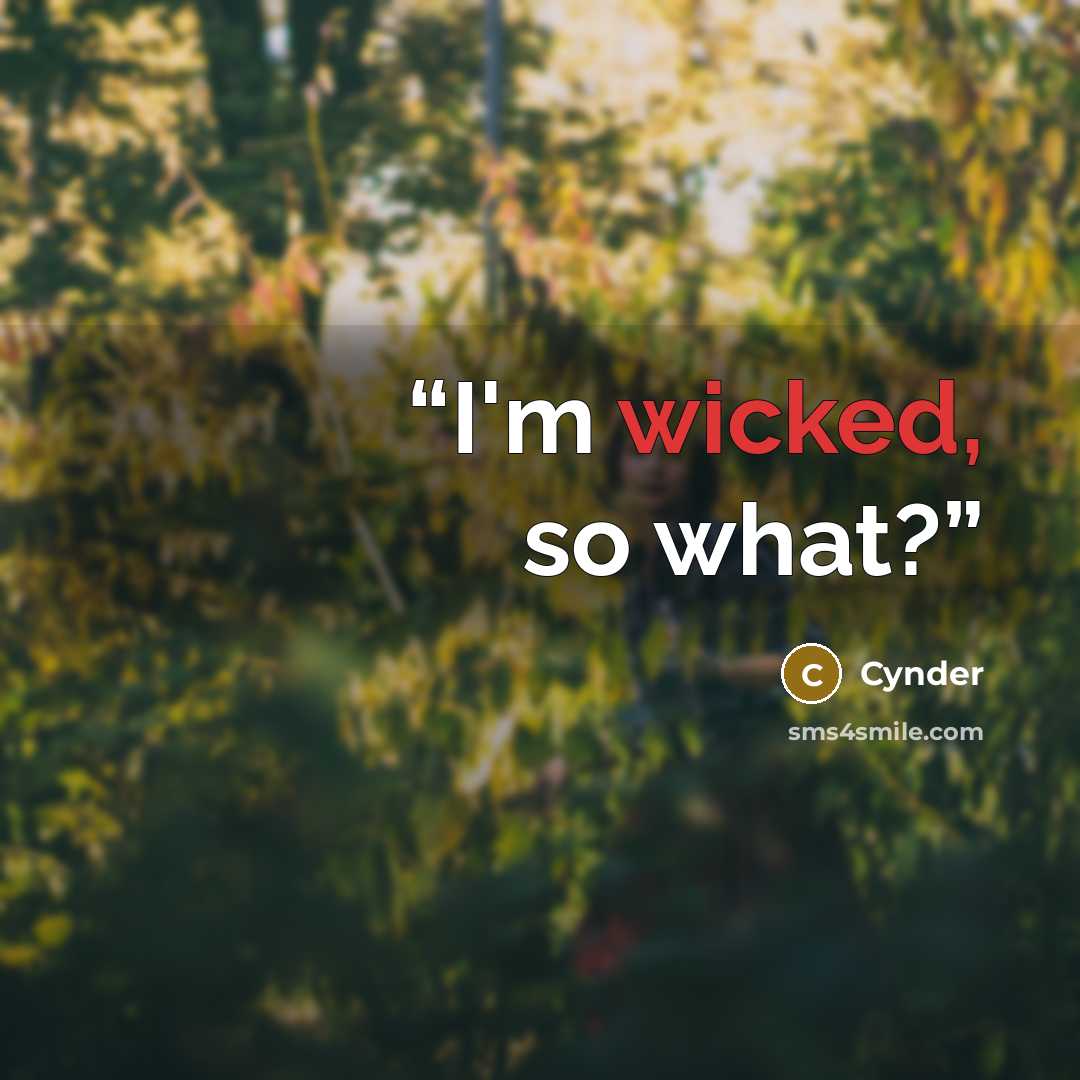 “I'm wicked, so what?” quote by Cynder