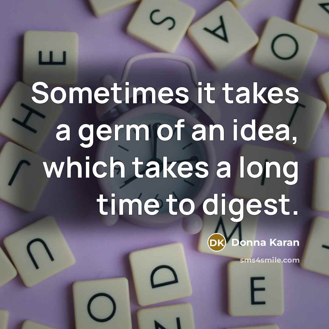 “Sometimes it takes a germ of an idea, which takes…” quote by Donna Karan