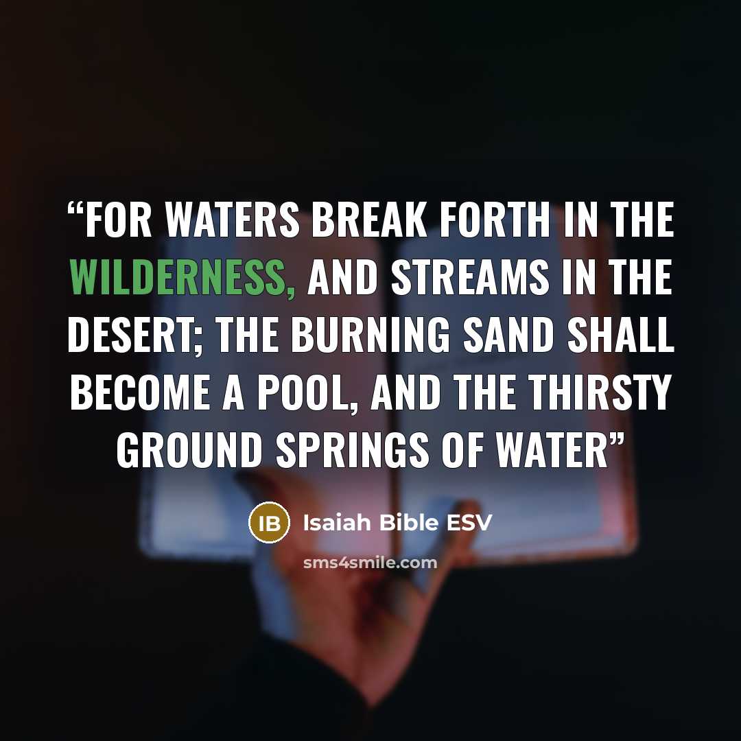 “For waters break forth in the wilderness, and streams in the desert; the burning sand shall become a pool, and the thirsty ground springs of water” quote by Isaiah Bible ESV