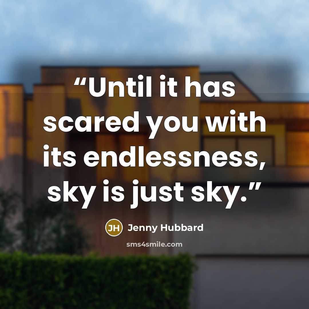 “Until it has scared you with its endlessness, sky is just sky.” quote by Jenny Hubbard