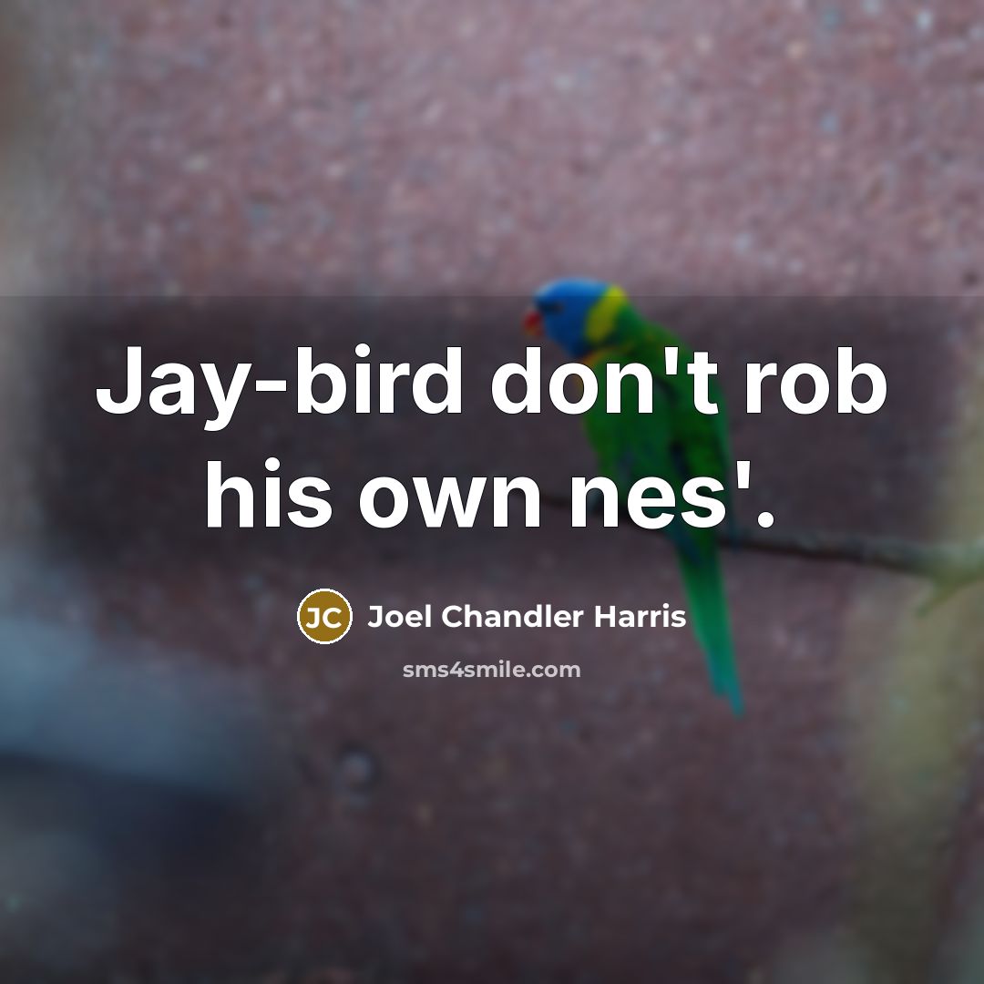 “Jay-bird don't rob his own nes'.…” quote by Joel Chandler Harris
