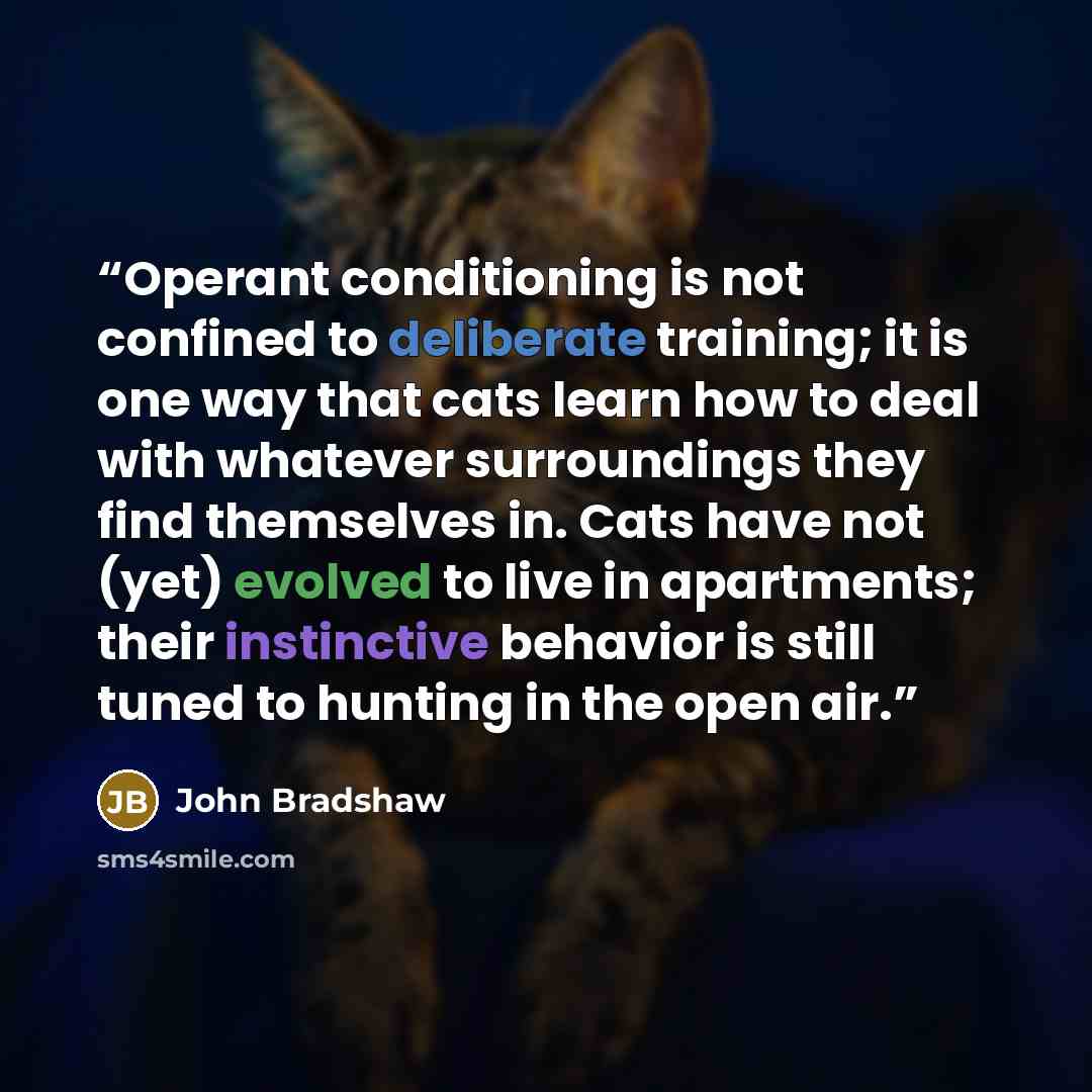“Operant conditioning is not confined to deliberate training; it is one way that cats learn how to deal with whatever surroundings they find themselves in. Cats have not (yet) evolved to live in apartments; their instinctive behavior is still tuned to hunting in the open air.” quote by John Bradshaw