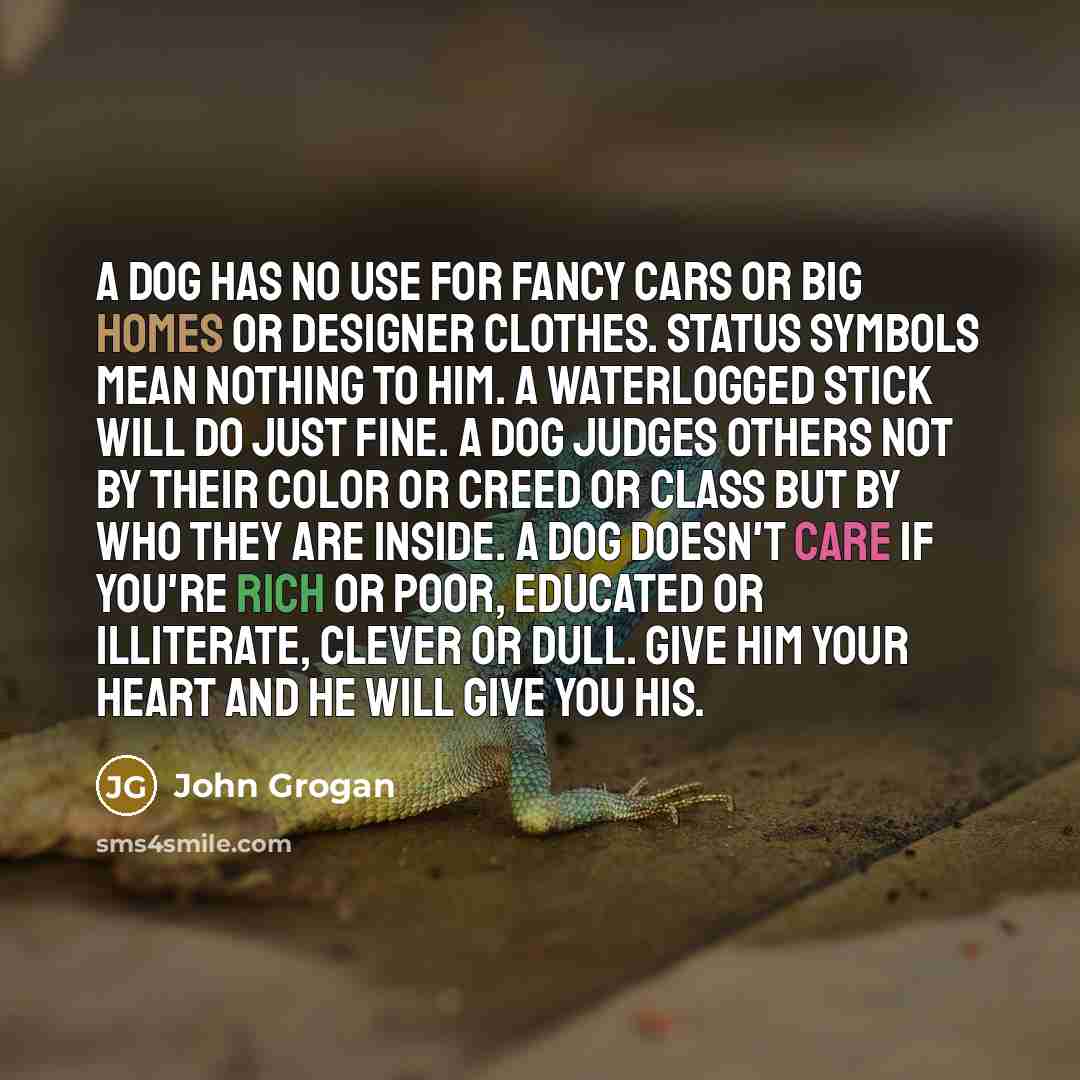 “A dog has no use for fancy cars or big homes or designer clothes. Status symbols mean nothing to him. A waterlogged stick will do just fine. A dog judges others not by their color or creed or class but by who they are inside. A dog doesn't care if you're rich or poor, educated or illiterate…” quote by John Grogan