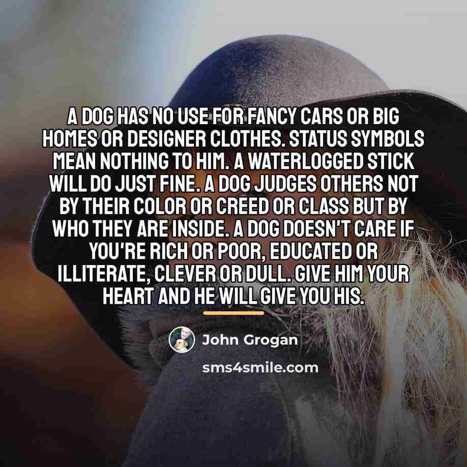 “A dog has no use for fancy cars or big…” quote by John Grogan