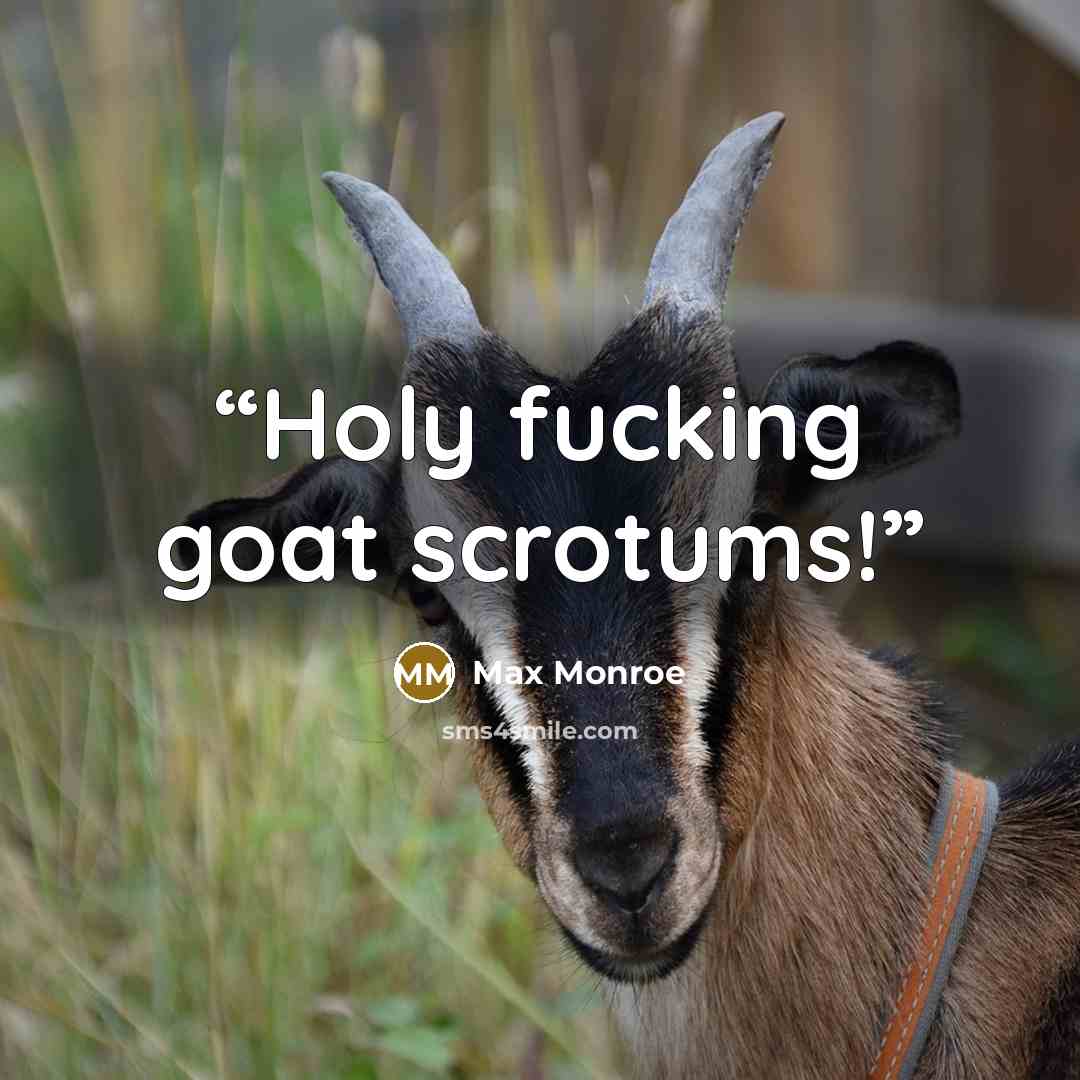 “Holy fucking goat scrotums!” quote by Max Monroe
