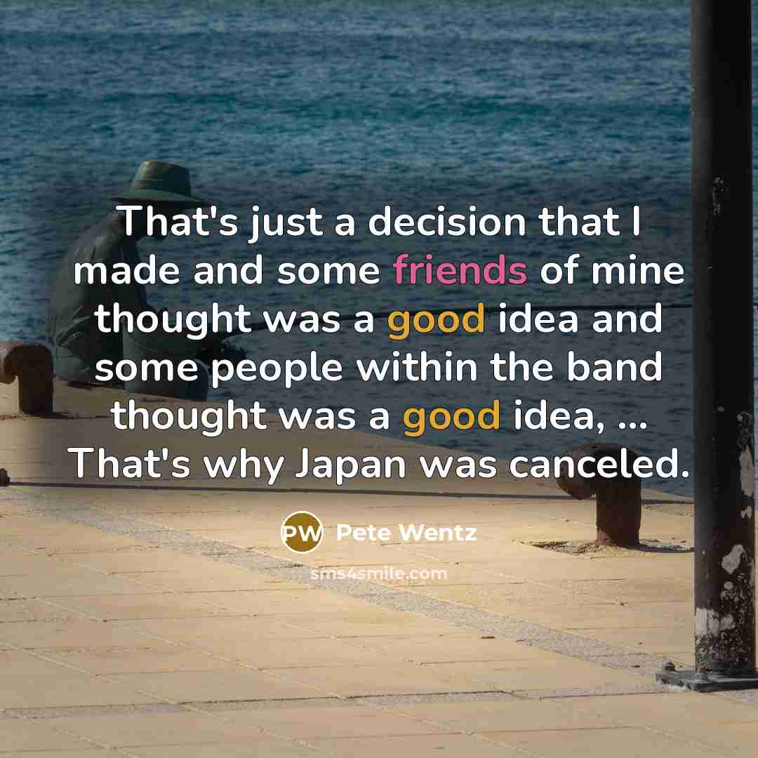 “That's just a decision that I made and some friends of mine thought was a good idea and some people within the band thought was a good idea, ... That's why Japan was canceled.” quote by Pete Wentz