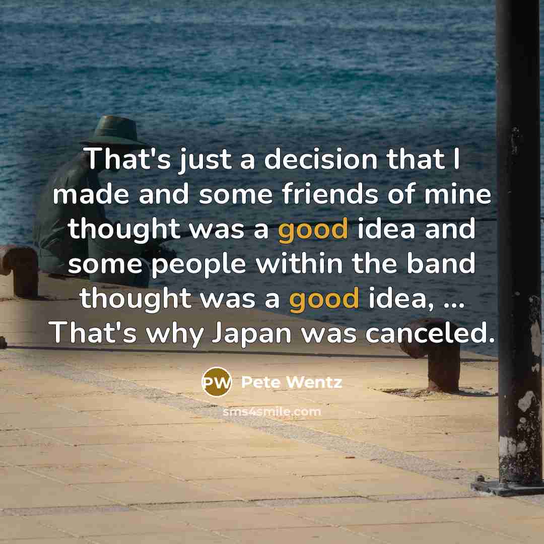 “That's just a decision that I made and some friends…” quote by Pete Wentz