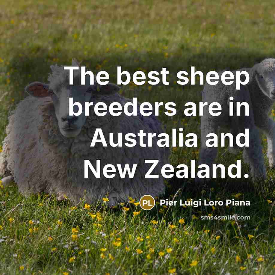 “The best sheep breeders are in Australia and New Zealand.…” quote by Pier Luigi Loro Piana