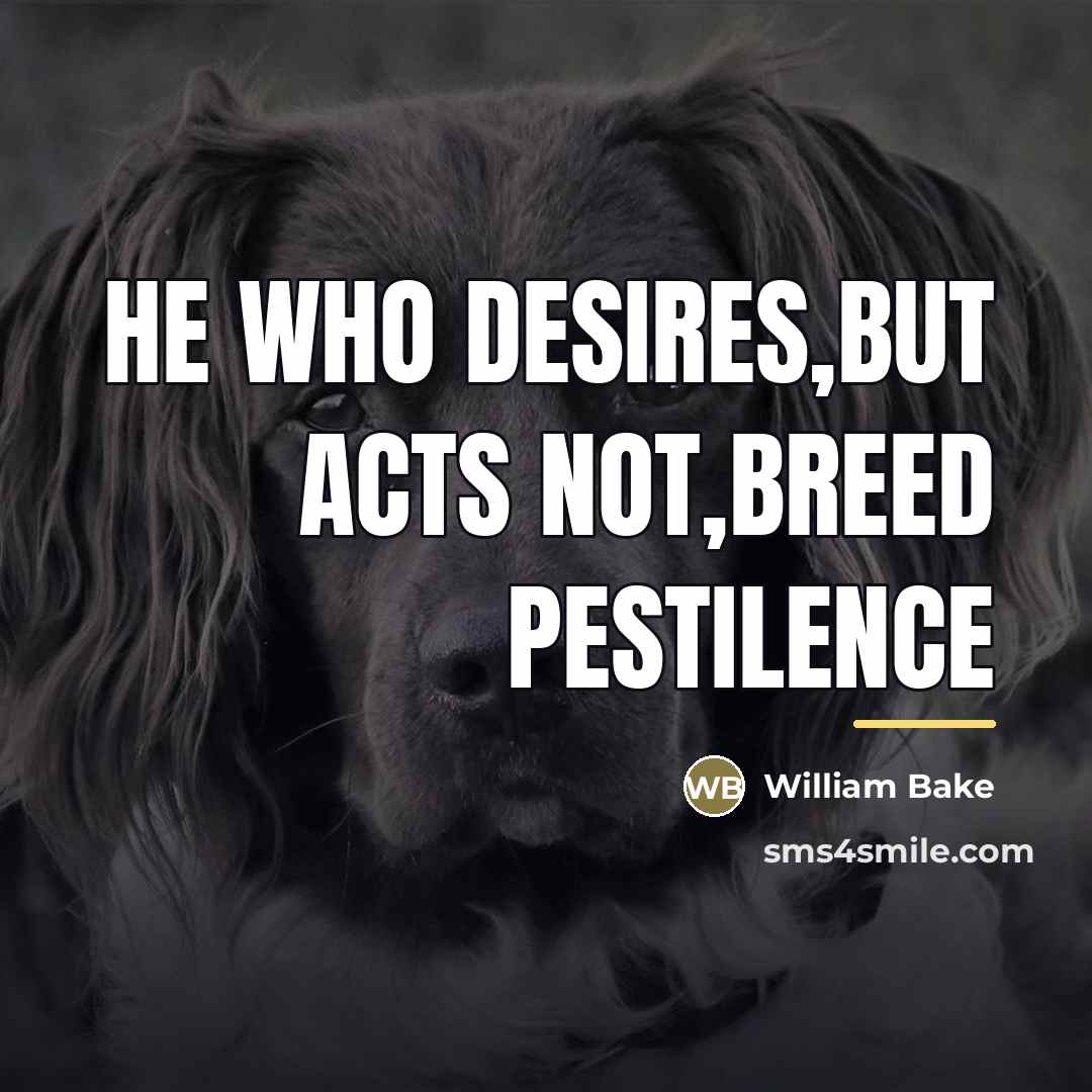 “He who desires,but acts not,breed pestilence…” quote by William Bake