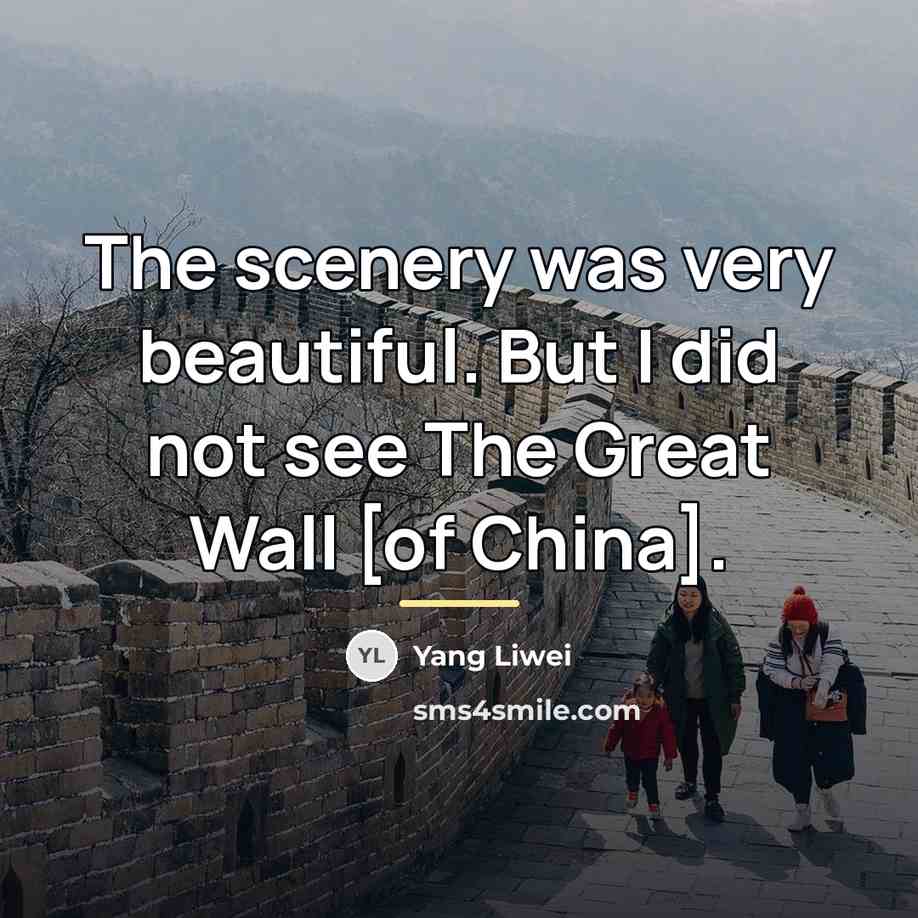 “The scenery was very beautiful. But I did not see…” quote by Yang Liwei