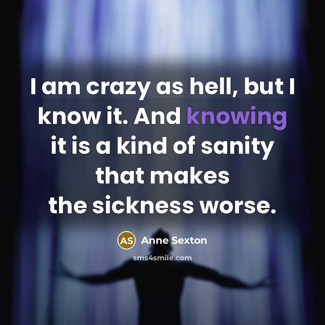 “I am crazy as hell, but I know it. And…” quote by Anne Sexton