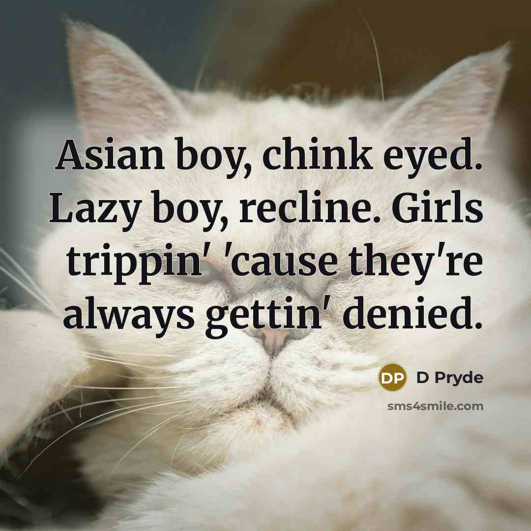 “Asian boy, chink eyed. Lazy boy, recline. Girls trippin' 'cause they're always gettin' denied.” quote by D Pryde