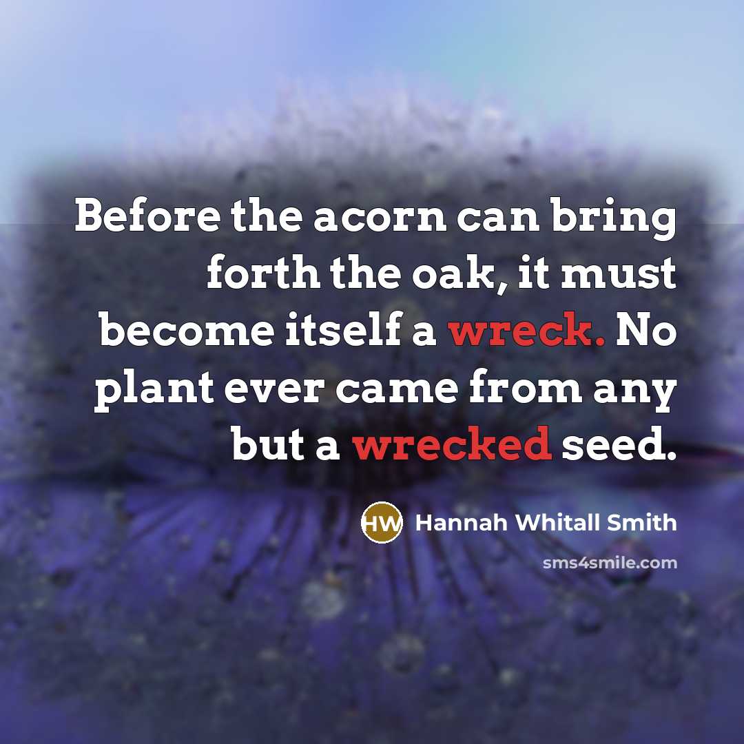 “Before the acorn can bring forth the oak, it must become itself a wreck. No plant ever came from any but a wrecked seed.” quote by Hannah Whitall Smith