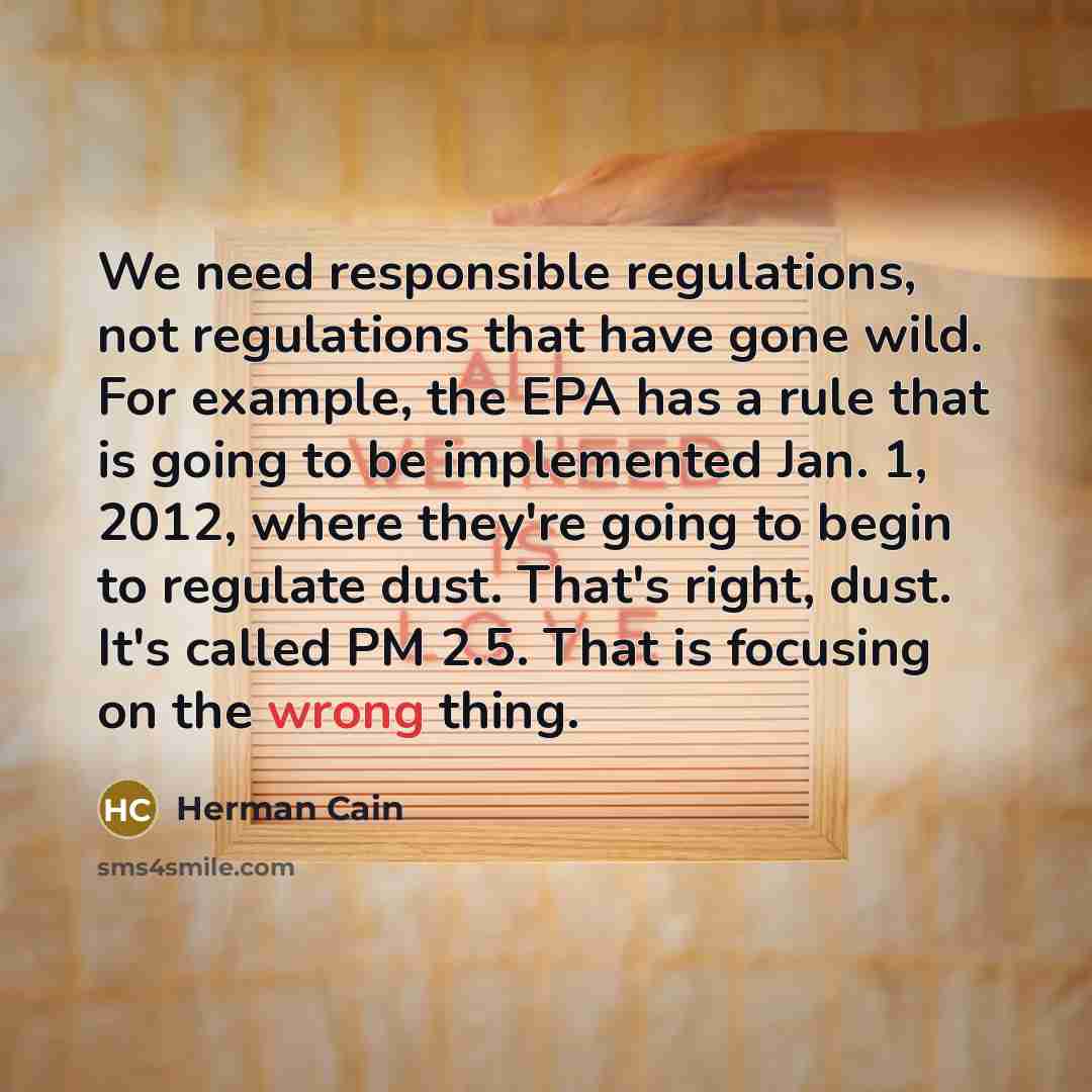 “We need responsible regulations, not regulations that have gone wild.…” quote by Herman Cain