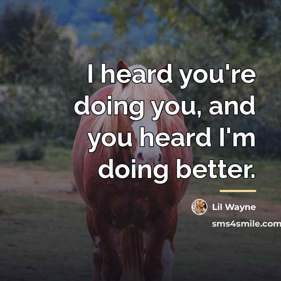 “I heard you're doing you, and you heard I'm doing…” quote by Lil Wayne