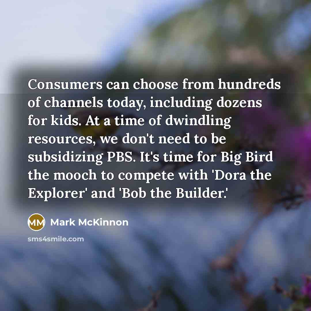“Consumers can choose from hundreds of channels today, including dozens…” quote by Mark McKinnon