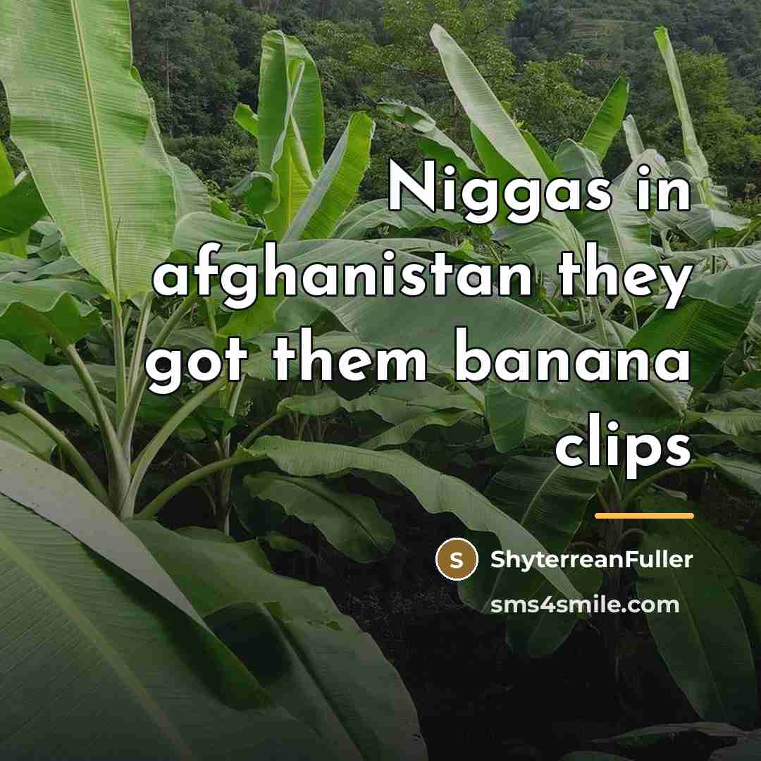“Niggas in afghanistan they got them banana clips…” quote by ShyterreanFuller