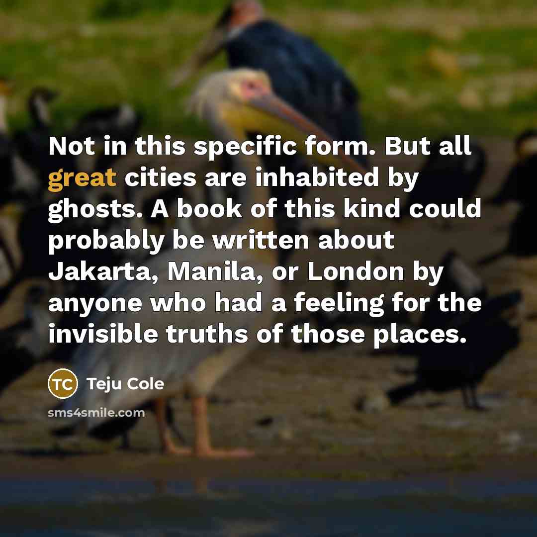 “Not in this specific form. But all great cities are…” quote by Teju Cole