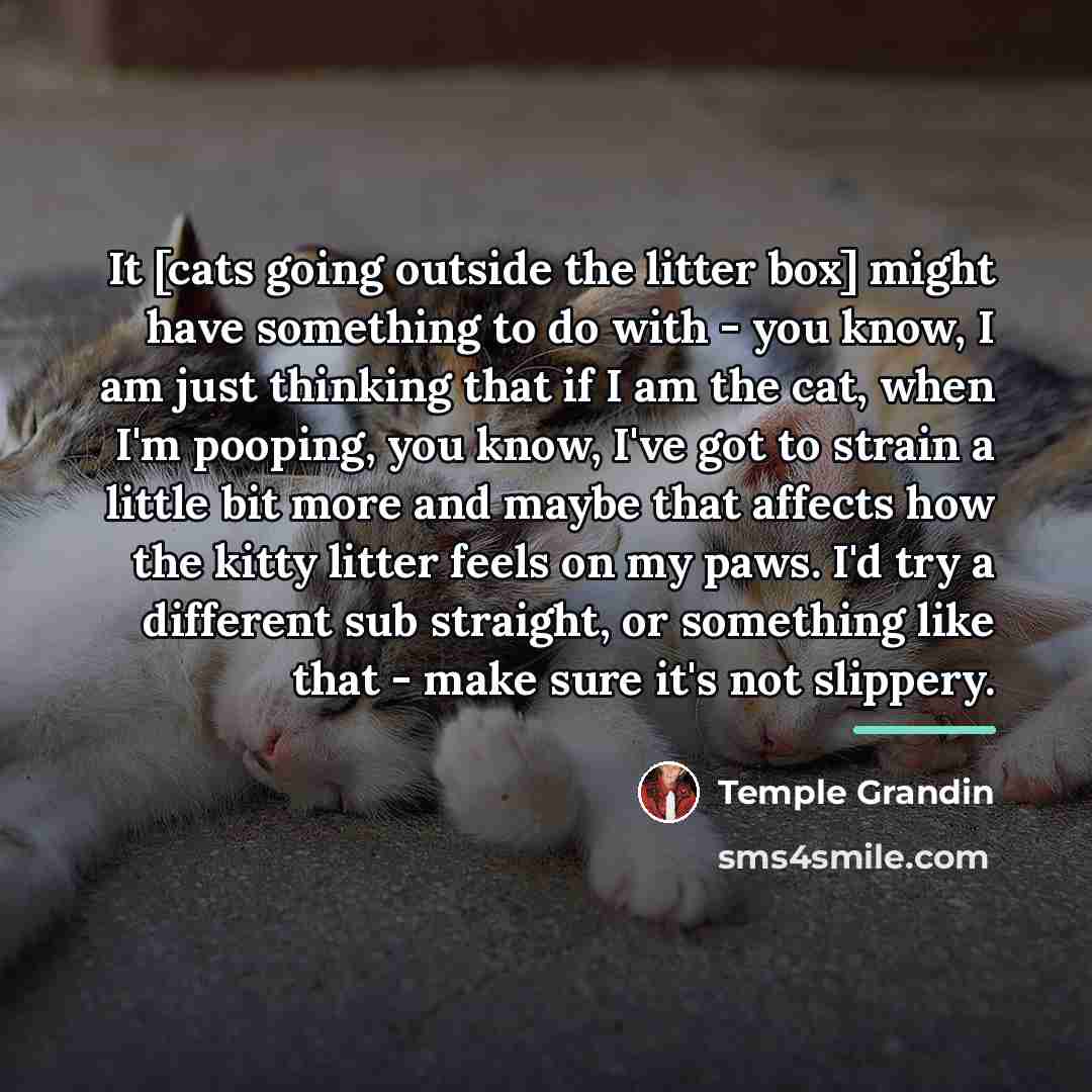 “It [cats going outside the litter box] might have something…” quote by Temple Grandin