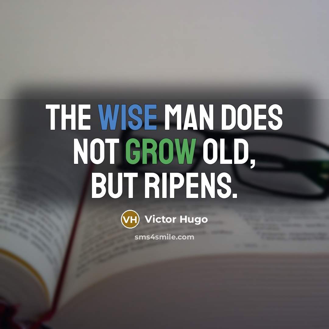 “The wise man does not grow old, but ripens.…” quote by Victor Hugo