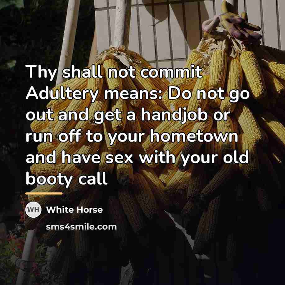 “Thy shall not commit Adultery means: Do not go out…” quote by White Horse