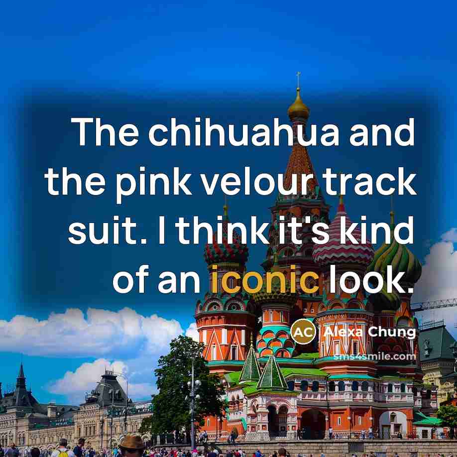 “The chihuahua and the pink velour track suit. I think…” quote by Alexa Chung