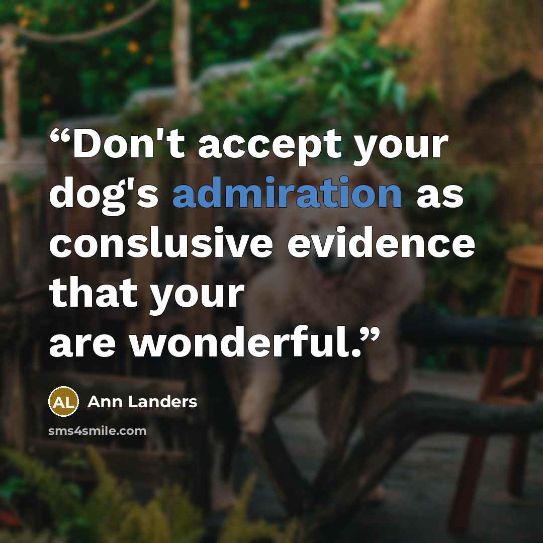 “Don't accept your dog's admiration as conslusive evidence that your are wonderful.” quote by Ann Landers